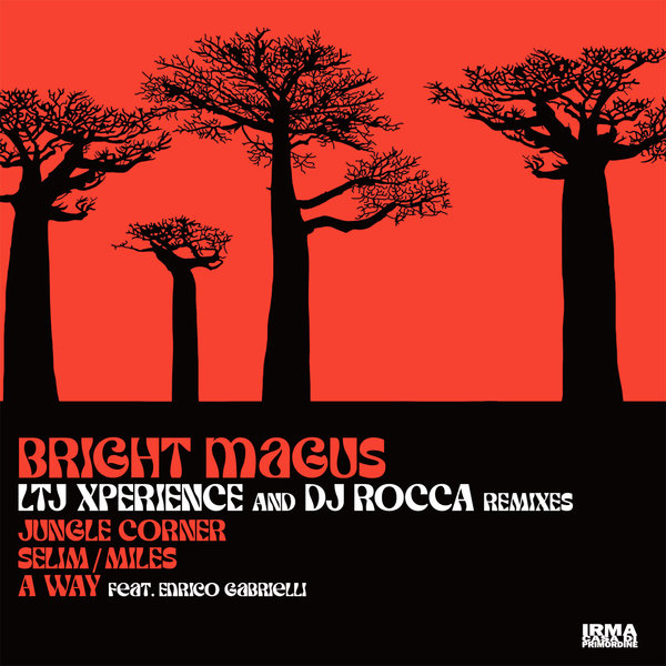 Bright Magus –  LTJ Xperience & Dj Rocca Remixes [Irma]