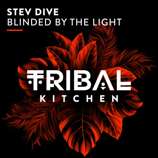 Stev Dive –  Blinded by the Light [Tribal Kitchen]