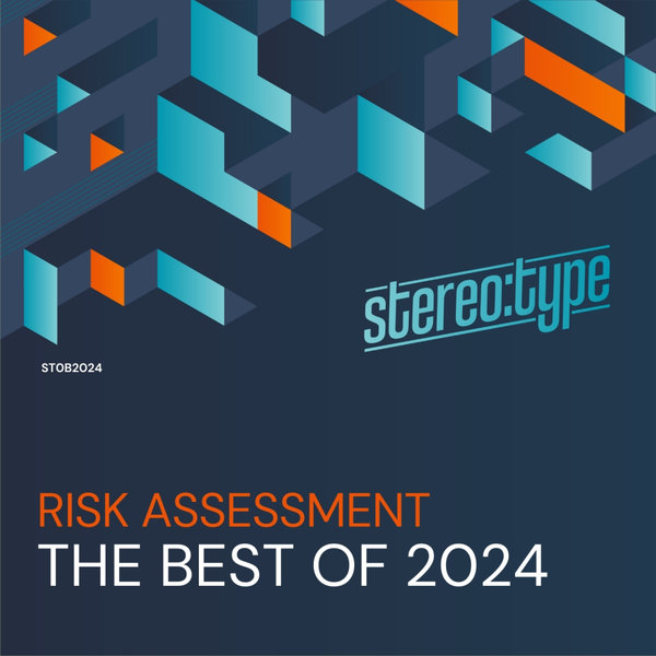 Risk Assessment – The Best Of Stereo-type 2024 [Stereo-type]