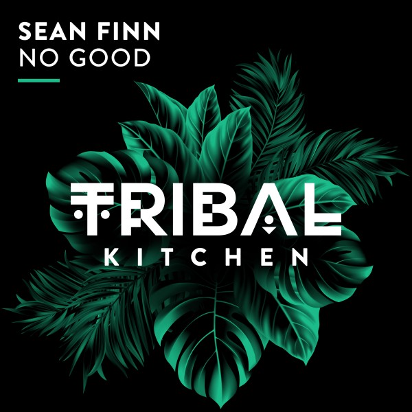 Sean Finn –  No Good [Tribal Kitchen]