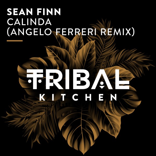 Sean Finn –  Calinda (Angelo Ferreri Remix) [Tribal Kitchen]