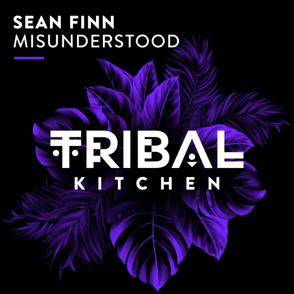 Sean Finn –  Misunderstood [Tribal Kitchen]