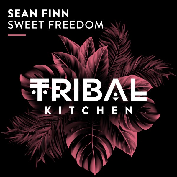 Sean Finn –  Sweet Freedom [Tribal Kitchen]