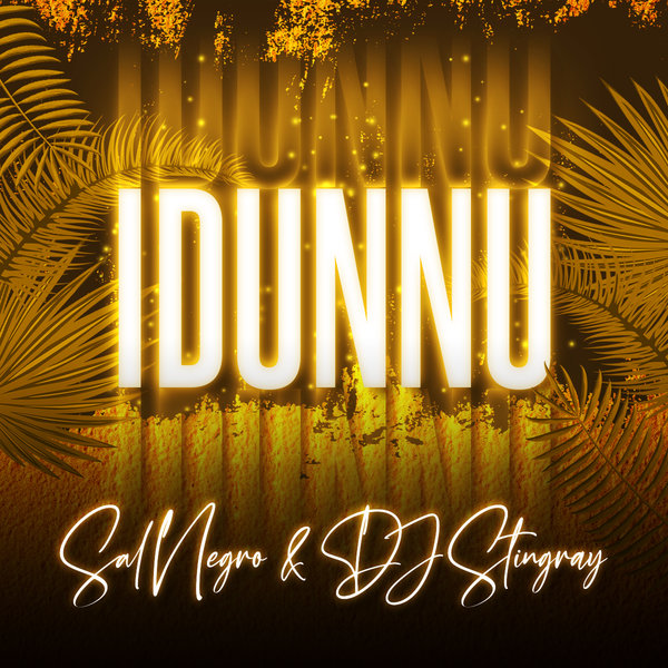 Sal Negro & DJ Stingray –  Idunnu [Ayize Songaa Recodings,LLC]