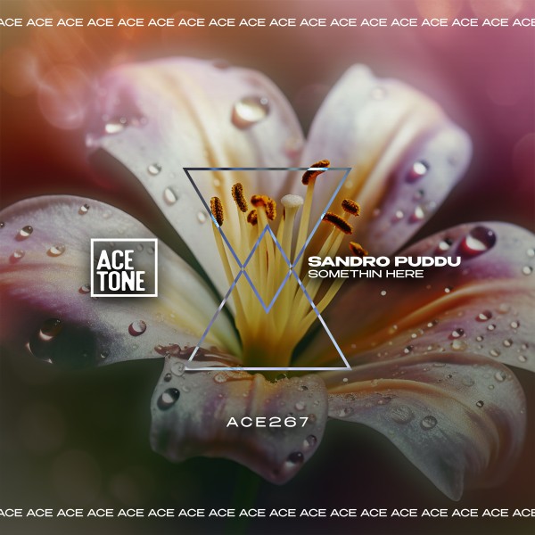 Sandro Puddu –  Somethin Here [Acetone]