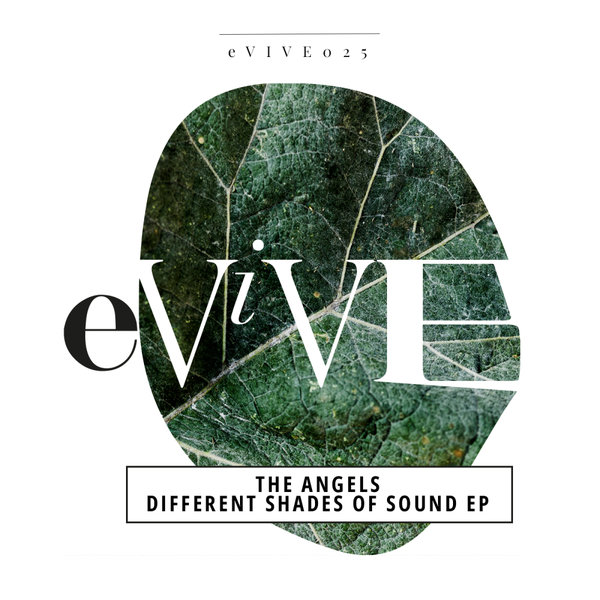 The Angels –  Different Shades of Sound EP [eViVE Records]