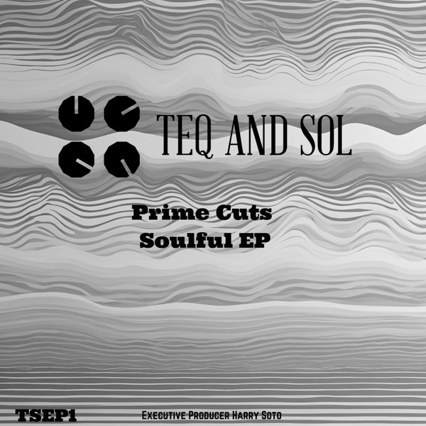 Various Artists – Prime Cuts Soulful EP [TEQ and SOL]