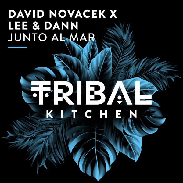 David Novacek, Lee & Dann –  Junto al Mar [Tribal Kitchen]