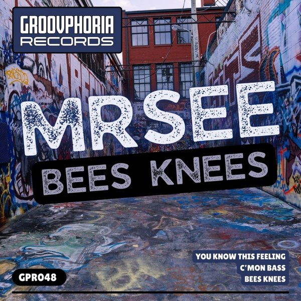 MrSee – Bees Knees [Groovphoria Records]