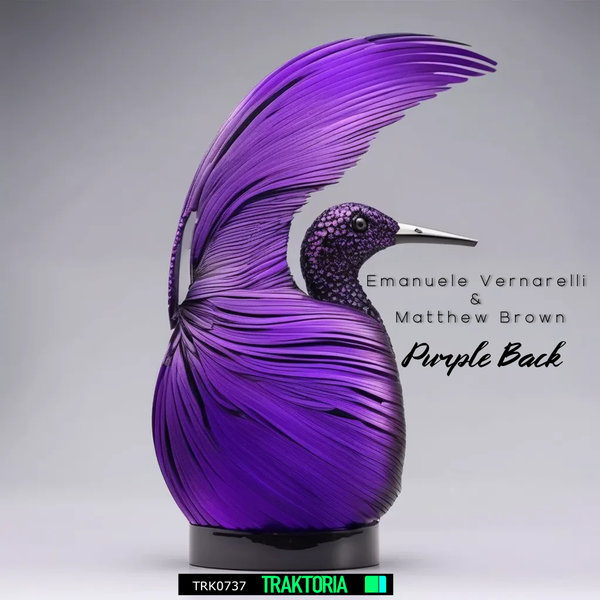 Emanuele Vernarelli, Matthew Brown – Purple Back [Traktoria]