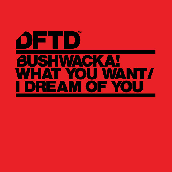 Bushwacka! – What You Want , I Dream Of You [DFTD]