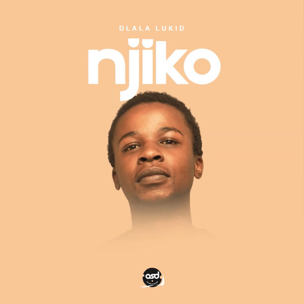 Dlala LuKid – Njiko [All Shades Of The Drum Recordings]