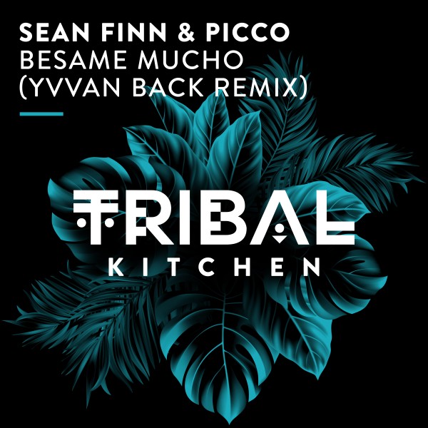 Sean Finn, Picco –  Besame Mucho (Yvvan Back Remix) [Tribal Kitchen]