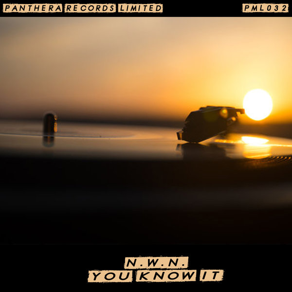 N.W.N. –  You Know it [Panthera Limited]