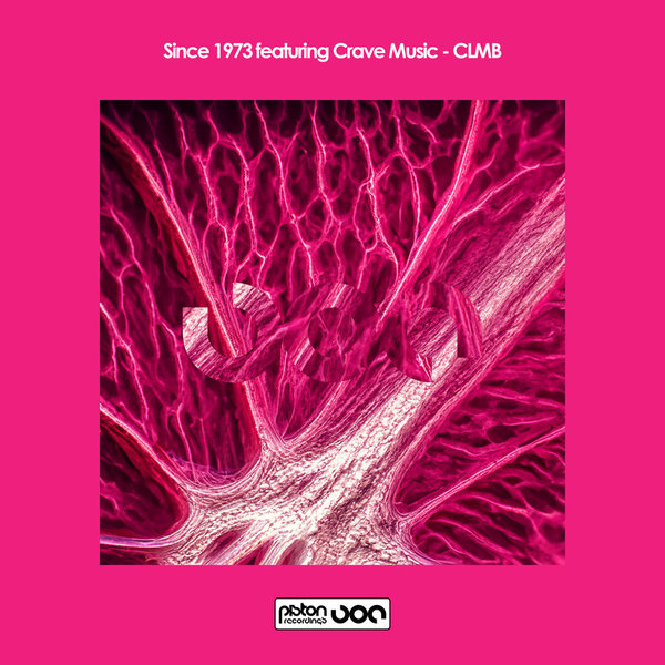 Since 1973 feat. Crave Music –  CLMB [Piston Recordings]