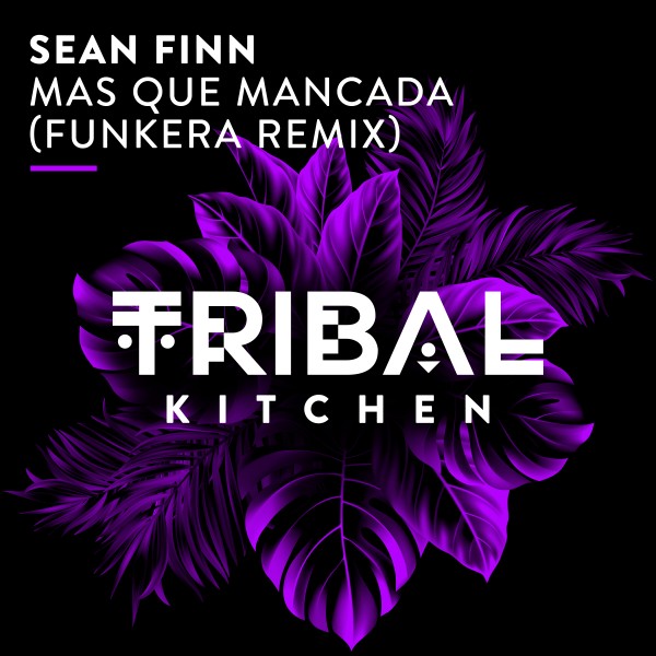 Sean Finn –  Mas Que Mancada (Funkera Remix) [Tribal Kitchen]