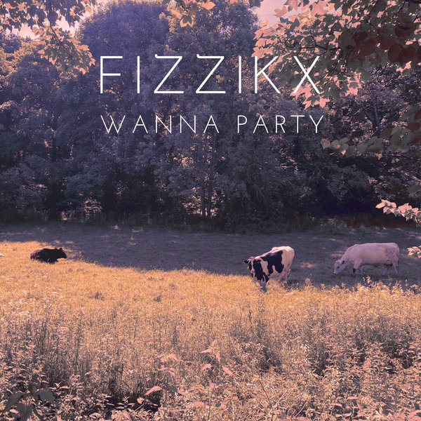 Fizzikx –  Wanna Party [Vibe n Soul Music]