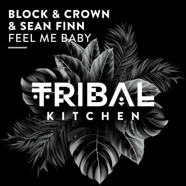 Block & Crown, Sean Finn –  Feel Me Baby [Tribal Kitchen]