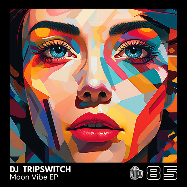 DJ Tripswitch –  Moon Vibe [Caboose Records]