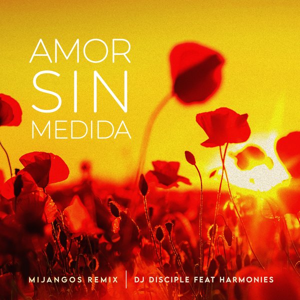 DJ Disciple feat.Harmonies –  Amor Sin Medida [Catch 22]