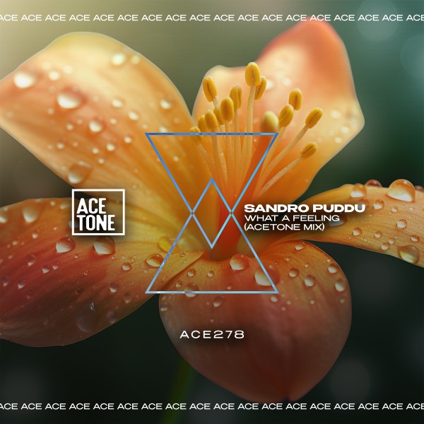 Sandro Puddu –  What a Feeling [Acetone]