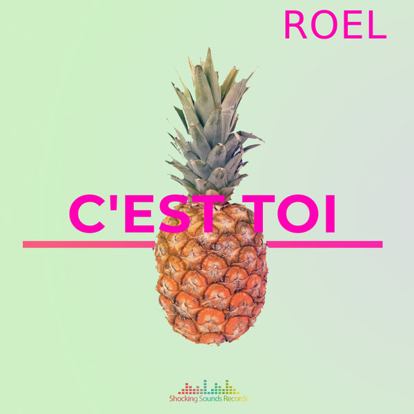 Roel –  C&apos;est Toi [Shocking Sounds Records]