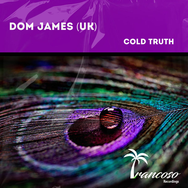 Dom James (UK) –  Could Truth [Trancoso Recordings]