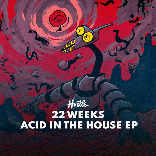 22 Weeks –  Acid In The House [House Of Hustle]