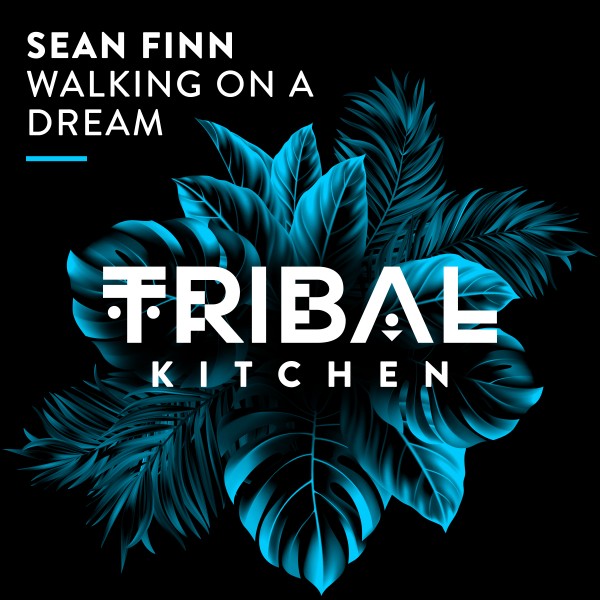 Sean Finn – Walking on a Dream [Tribal Kitchen]